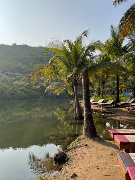 Its a small yet the most beautiful lake in Arambol Beach, Goa. Nature, Goa, Arambol Beach Goa, Sweet Water, Beautiful Lakes, Bucket List, A Small, Most Beautiful, Country Roads