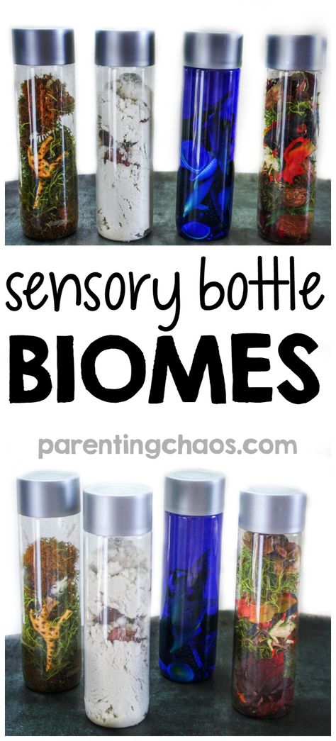 These Sensory Bottle Biomes are a fun, yet simple way for kids to explore what makes up a biome and to compare how various plant and animal life has adapted to fit that biome. Sensory Bottles Preschool, Calm Down Bottle, Discovery Bottles, Sensory Bottle, Sensory Bags, Sensory Crafts, Sensory Activity, Sensory Boxes, Sensory Bottles