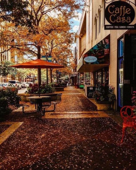 UNEXPECTED WAYS TO EXPERIENCE FALL IN THE CITY OF KALAMAZOO, MICHIGAN Fall In The City, Kalamazoo Michigan, Just A Small Town Girl, Western Michigan, Cozy Season, Small Town Girl, Winding Road, Fall Photos, Autumn Photography