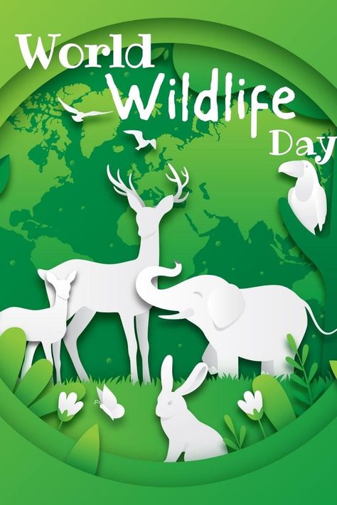 World Wildlife Day! Wild Life Conservation Poster, Save Wild Life Poster, Save Wild Life Poster Drawing, Poster On Wildlife Conservation, Wildlife Conservation Poster, World Environment Day Posters, Creative Book Cover Designs, World Wildlife Day, Geography Project