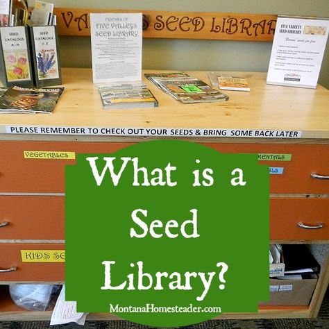 What is a seed library? Permaculture, Veggie Gardens, Seed Library, Passive Programs, Planting Garden, Permaculture Principles, Friends Of The Library, Garden Layouts, Library Book Displays