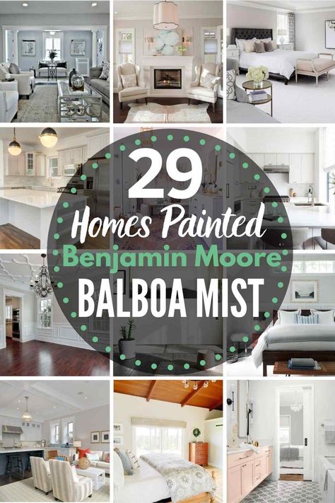 Greige Paint Color, Pewter Benjamin Moore, Benjamin Moore Balboa Mist, Benjamin Moore Bedroom, Benjamin Moore Kitchen, Basement Paint Colors, Balboa Mist, Warm Gray Paint, Greige Paint