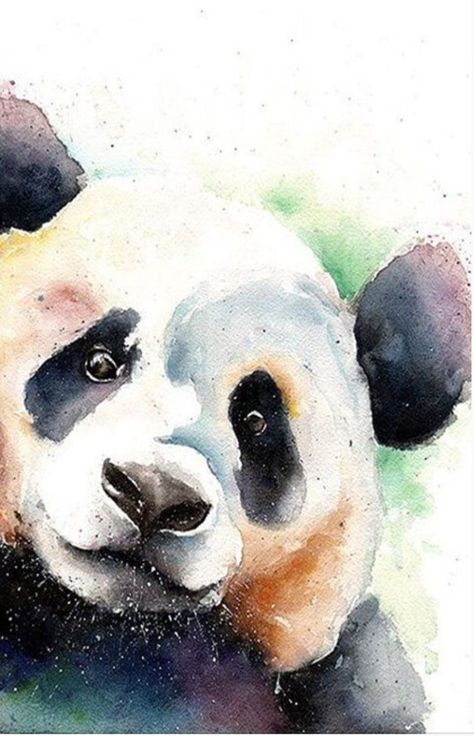 Art Mini Toile, Fleurs Art Nouveau, Panda Painting, Journal D'art, Salt Painting, Creative Arts Therapy, Panda Drawing, Art Zine, Panda Panda