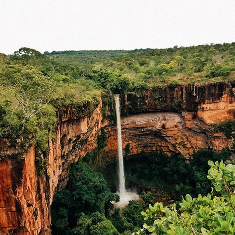 Turismo no Mato Grosso: roteiro unindo Pantanal, Chapada e Nobres Brazil, Norte, Travel, Nature, Zodiac Years, Indoor Greenhouse, Outside World, South America, Places To Go