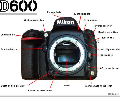 Nikon D600 Reflex Camera, Nikon D600, Nikon D5600, Full Frame Camera, Digital Slr Camera, Depth Of Field, Slr Camera, Old Models, Dslr Camera