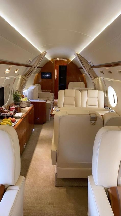 men luxury lifestyle Private Jet Luxury, 2024 Blessings, Men Luxury Lifestyle, Luxury Life Aesthetic, Wealth Goals, Vision Board Success, Luxury Life Style, Luxury Stuff, Airplane Food