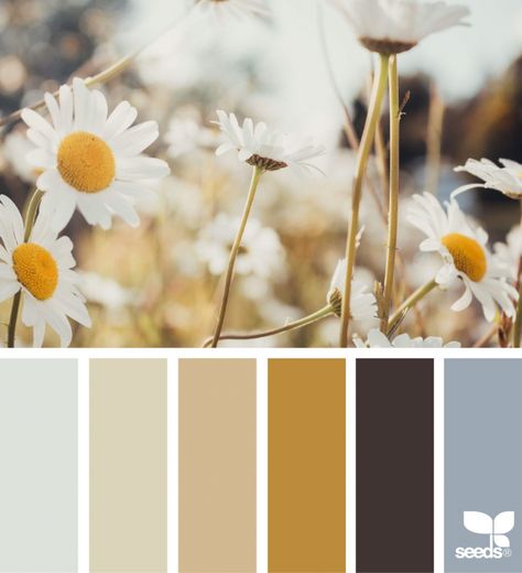 Flora Tones Design Seeds, Kampot, Seeds Color, Flora Design, Color Palette Yellow, Pintura Exterior, Color Palate, Color Palette Design, Colour Pallette