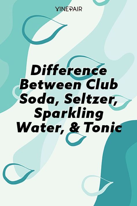 From bitter tonic, to club soda, seltzer, and subtly-flavored sparkling mineral, we've compiled a complete guide to different styles of carbonated water. Aperitif, Austerity, Soda Stream Recipes, White Port, Sparkling Mineral Water, Homemade Soda, Seltzer Water, Soda Stream, Carbonated Water