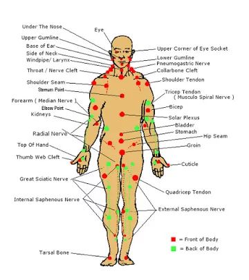 17 Self-Defense Tips - Memorize pressure points. Body Pressure Points, Jiu Jutsu, Martial Arts Sparring, Self Defence Training, Trening Sztuk Walki, Self Defense Moves, Self Defense Tips, Self Defense Martial Arts, Self Defense Techniques