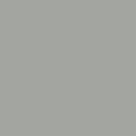 A solid cool mid grey colour. Ppg Paint Colors, Stonington Gray, Bedroom Shades, Historic Colours, Eagle Painting, Ppg Paint, Paint And Paper Library, Elements Of Color, Pintura Exterior