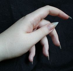 Natural!!!! Suki Avatar, Half Drow, Vampire Nails, Sharp Nails, Pointy Nails, Nail Drawing, Hand Reference, Dark Elf, Avatar The Last Airbender