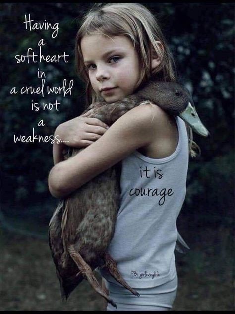 Wisdom Quotes, True Words, Bird Quotes, Soft Heart, Foto Vintage, Animal Quotes, Wise Quotes, Great Quotes, Beautiful Words