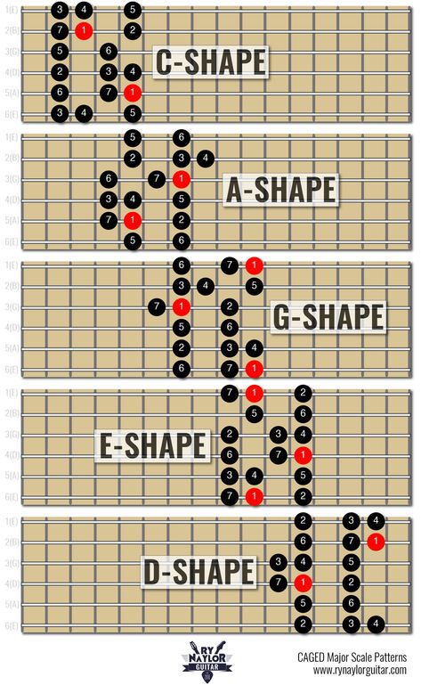 Major Scales Guitar, Major Scale Guitar Patterns, Guitar Caged System, Chord Shapes Guitar, E Major Scale Guitar, A Major Scale Guitar, Guitar Major Scale, Caged Guitar System, Electric Guitar Scales