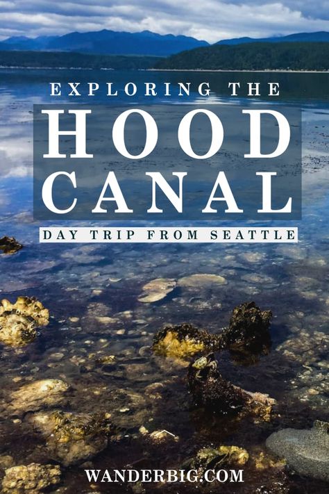 Hood Canal Washington, Shrimp Festival, Day Trips From Seattle, Hood Canal, Hiking Guide, Mini Vacation, Downtown Seattle, Puget Sound, The Calm