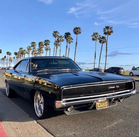 Love this ‘68 Dodge Charger. A cruise to the So. Cal beach. How would you rate this Dodge Charger from a scale of 1 to 10? #mopar #hemi #dodge #dodgechargerclassiccars #dodgeclassiccars #v8 #carstagram #coolcar #charger #americanmusclecarsdodge #fastcar #oldcar #oldschool Minions, 1979 Dodge Charger, 68 Dodge Charger, Dodge Charger 68, Daytona Car, Dodge Charger Hemi, Dodge Charger 1970, 1969 Dodge Charger Daytona, American Muscle Cars Dodge