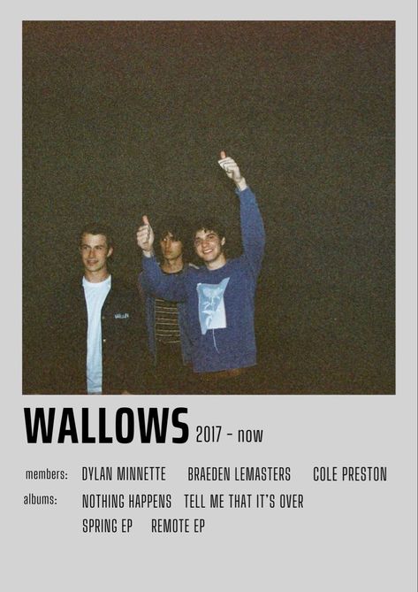 Wallows Album Poster, Wallows Tour Poster, The Wallows Poster, Wallows Poster Vintage, The Wallows Aesthetic Wallpaper, Wallows Album Covers, Wallows Aesthetic Poster, Wallows Wallpapers, Wallows Aesthetic Wallpaper