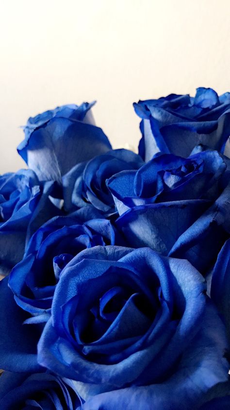 Royal Blue Roses Wallpaper, Navy Blue Flowers Aesthetic, Rose Blue Aesthetic, Blue Rose Aesthetic, Blue Roses Aesthetic, Blue Flowers Aesthetic, Blue Roses Bouquet, Dark Blue Roses, Rose Blu