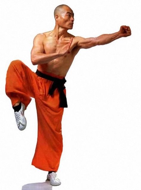 Gesture Drawing, Shaolin Monks, Kung Fu Martial Arts, Shaolin Kung Fu, Male Pose Reference, Pencak Silat, Martial Arts Techniques, Chinese Martial Arts, Body Reference Poses