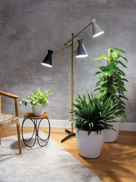 Grow Light Stand, Indoor Plant Lights, Plant Lights, Mid Century Modern Floor Lamps, Best Grow Lights, Plant Room, Grow Light Bulbs, House Lamp, Grow Lamps