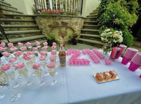 21st birthday decor twenty first pink decor champagne glasses tequila 21st Birthday Outdoor Decorations, Pink Birthday Party Aesthetic 21, Birthday Party 21 Decorations, 21 Birthday Table Ideas, 21 Sleepover Party, Birthday 21st Ideas, 21st Elegant Birthday Ideas, 21st Birthday Decorations Outdoor, 21st Hotel Decorations