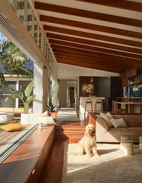 Tropical Houses Interior, Modern Tropical Interior, Resort Vibes, Byron Bay Beach, Tropical Living Room, Modern Tropical House, Tropical Interior Design, Tropical House Design, Tropical Interior