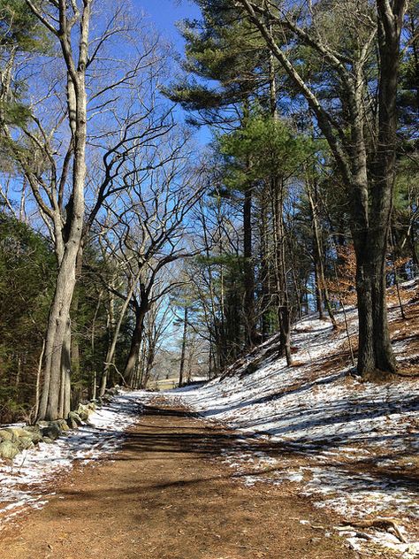 Outside in March Nature, March Landscape, Monthly Aesthetic, March Vibes, Month Aesthetic, March Aesthetic, Happy Good Friday, Prayer Of Thanks, Brown Skin Tone