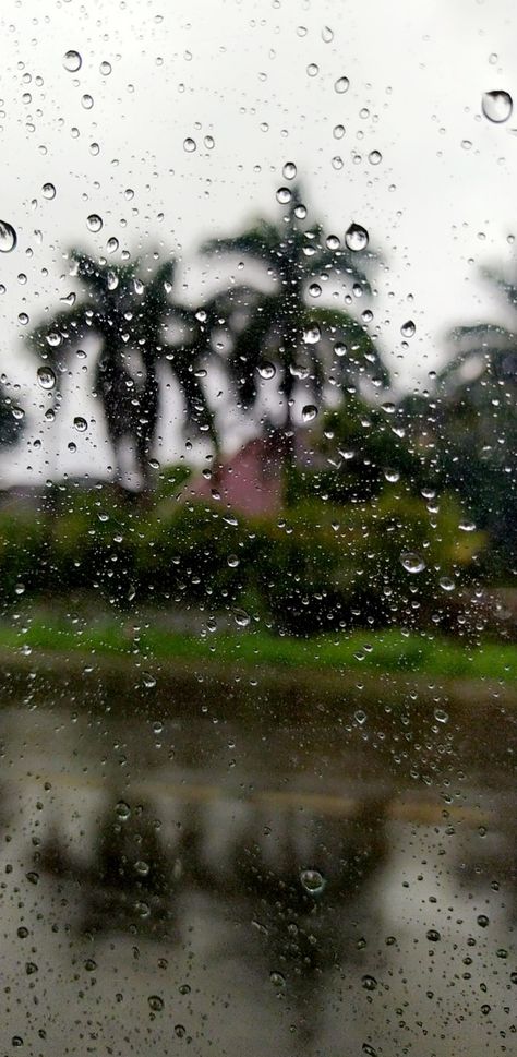 Photography, Nature, Lonavala Snap Rain, Lonavala Aesthetic, Rain Nature, Nature Tree, Water Droplets, Self Care Activities, Oil Painting