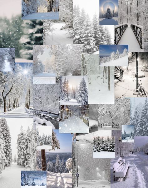 Love snow and winter? If so this is perfect for you! #wallpaper #snow #winter #collage #lockscreen #homescreen #trees Winter Astethic Pictures, Winter Homescreen Wallpaper, January Collage Wallpaper, Winter Collage Aesthetic, Winter Iphone Background, Cute Winter Wallpapers Aesthetic, Winter Collage Wallpaper, Winter Aesthetic Collage, Winter Wallpaper Collage