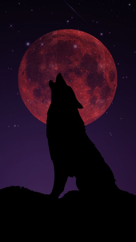 Alpha Wolf Wallpaper, Beautiful Moon Images, Wolf Full Moon, Lup Singuratic, Wolf Howling At Moon, Midnight Wallpaper, Raven And Wolf, Alpha Wolf, Wolf Painting