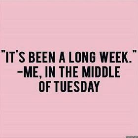 Happy Tuesday Meme, Funny Tuesday, Tuesday Meme, Happy Tuesday Quotes, Quotes Smile, Good Morning Tuesday, Morning Memes, Tuesday Quotes, Tuesday Humor