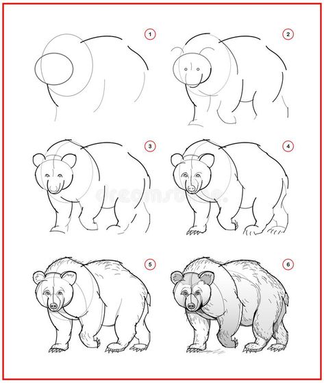 Drawing A Bear Step By Step, Bear Tutorial Drawing, How To Draw Grizzly Bear, Step By Step Bear Drawing, Draw Bear Easy, How To Draw Bear Step By Step, Drawing A Bear, Grizzly Bear Drawing Sketches, How To Draw A Log
