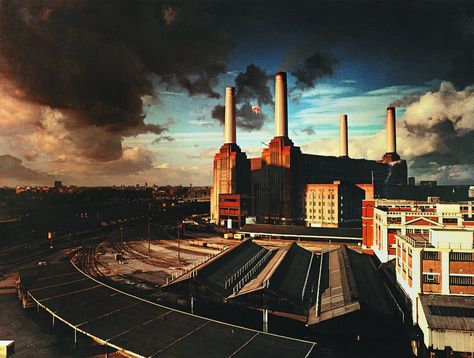 Pink Floyd Dogs, Pink Floyd Wallpaper, Storm Thorgerson, Pink Floyd Band, Pink Floyd Albums, Pink Floyd Art, A Clockwork Orange, Richard Williams, Battersea Power Station