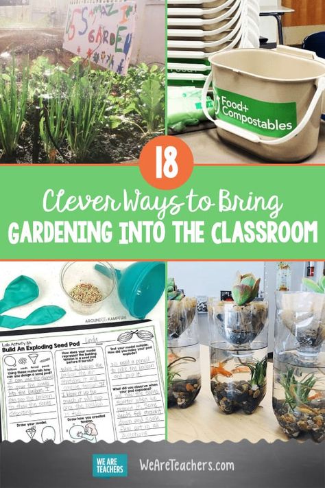 School Garden Club, Preschool Garden, Garden Activities, Science Club, Greenhouse Effect, Plant Life Cycle, Mini Greenhouse, Outdoor Classroom, Big Plants