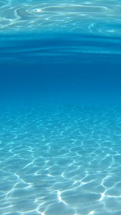 This Ocean Photography Will Leave You Speechless [Video] [Video] | Sualtı fotoğrafçılığı, Sualtı fotoğrafları, Okyanus dalgaları Ocean Underwater Photography, Ocean Underwater Aesthetic, Sea Wallpaper Ocean, Ocean Photography Underwater, Underwater Animation, Blue Ocean Wallpaper, Summer Underwater, Underwater Aesthetic, Strand Wallpaper