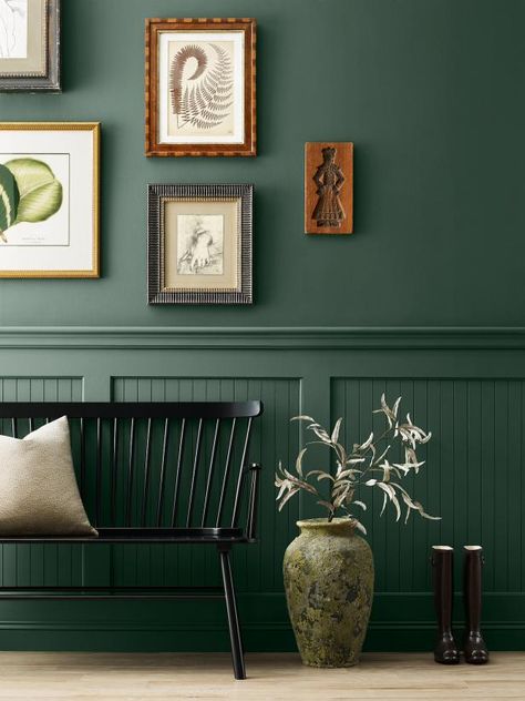 Sherwin-Williams' 2024 collection of blues and greens features the striking verdant hue, Billiard Green. This cool, forest-inspired shade is rich and organic with timeless appeal. (It's part of the brand's historical collection as well.) How You Can Use It Go green in an outside-to-inside space like a mudroom, foyer or entryway. This rich emerald will provide continuity with natural surroundings while creating a dazzling entrance to your home. Green Interior Paint, Emerald Green Paint, Sherwin Williams Green, Green Painted Walls, Blue Green Paints, Trending Paint Colors, Wood Walls, Color Forecasting, Sherwin Williams Colors