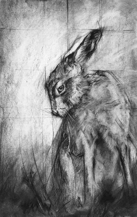 Hare Drawing, Abstract Art Lesson, Hummingbird Drawing, Charcoal Artwork, St Louis Art, Art Charcoal, Final Fantasy Artwork, Jack Rabbit, Owls Drawing