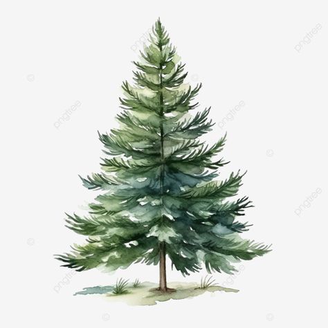 christmas watercolor pine tree Christmas Tree Ideas Drawing, Pine Tree Cartoon, Christmas Tree Clipart Free, Pine Trees Drawing, Trees Art Drawing, Pine Tree Watercolor, Christmas Tree Sketch, Pine Watercolor, Christmas Tree Watercolor