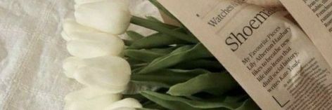 White Tulips Header Twitter, Green Notion Cover, Minimalist Header, Green Header, Flower Header, Notion Cover, 트위터 헤더, Facebook Header, Aesthetic Header