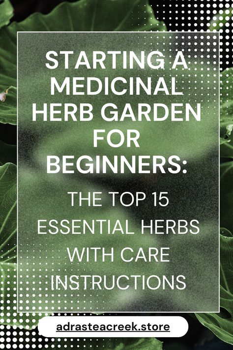 Creating a medicinal herb garden offers not just the pleasure of gardening but a way to cultivate your own natural remedies. Whether you're nestled in the heart of the city or have sprawling backyard space, cultivating these healing plants can be both simple and profoundly beneficial. This guide will detail the 15 most useful herbs to start with, providing insights into their benefits and comprehensive care instructions for both indoor and outdoor environments. Outdoor Herbs, Herb Garden For Beginners, Plants Medicinal, Medicinal Herb Garden, Wooden Garden Bed, Garden For Beginners, Outdoor Herb Garden, Medicinal Herbs Garden, Medicinal Garden