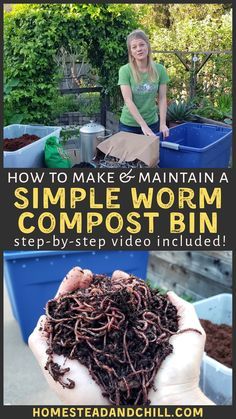 Vermicomposting Worm Farm, Worm Farm Diy, Worm Composting Bin, Composting 101, Compost Bin Diy, Compost Bins, Worm Bin, Diy Compost, Compost Soil