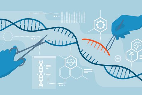 The advancements in genetic engineering, particularly with the advent of CRISPR-Cas9 technology, have opened a new chapter in biomedicine… Continue reading on Medium » Technology, Biotechnology, Human Embryo, Dna Sequence, Genetic Engineering, Gene Therapy, Editing Tools, Genetic, Engineering