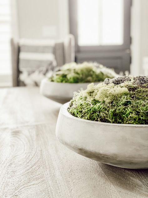 Moss Planters, Moss Bowl, Moss Planter, Diy Planters Indoor, Moss Centerpieces, Diy Moss, Corn Hole Diy, Moss Decor, Faux Moss