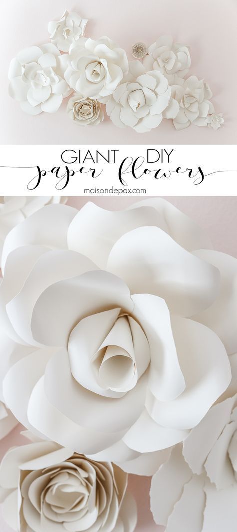 DIY Paper Flowers: Incredible! Learn how to make these gorgeous, elegant, giant paper flowers with this step by step tutorial. Samaria Leah, Construction Paper Flowers, Giant Paper Flower Tutorial, Giant Paper Flowers Diy, Diy Fleur, Lounge Outfits, Diy Paper Flowers, Diy Flores, Fleurs Diy