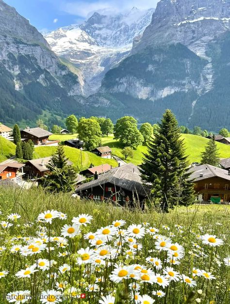 Switzerland Aesthetic Mountain, Tirol, Farm In Switzerland, Swiss Alps Photography, Switzerland Village, Switzerland Spring, Switzerland Grindelwald, Lake Lucerne Switzerland, Switzerland Nature