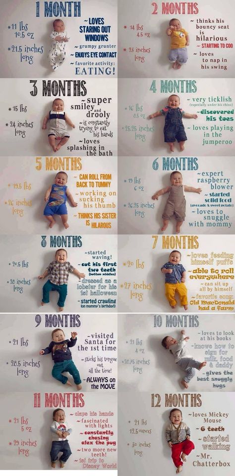 One Month Old Milestones, Month Old Baby, Baby Age Milestones Pictures, 1 Month Milestone Caption, Seven Month Baby Photoshoot, Baby Two Months Pictures, Ideas For Baby Monthly Pictures, Creative Milestone Baby Pictures, Infant Milestones By Month Pictures
