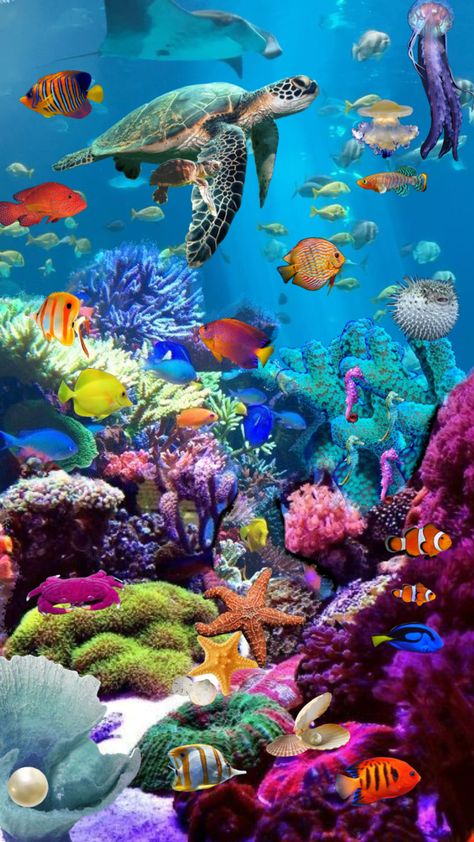 #sealife #underthesea Underwater Sea Life Aesthetic, Sea Animal Pictures Ocean Life, Under The Ocean Wallpaper, Underwater Life Drawing, Beautiful Sea Creatures Ocean Life, Under Sea Drawing, Under Sea Wallpaper, Under Water Aesthetic, Under The Sea Photography