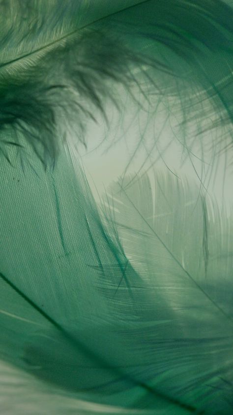 Green Wallpaper Texture, Motion Photos, Green Texture Background, Feather Background, Green Feathers, Wallpaper Hitam, Feather Photography, Feather Texture, Blur Image