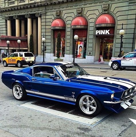 1967 Ford Mustang Royal Blue & White G.T. 350 Fastback. Siyah Mustang, Cool Muscle Cars, 1967 Ford Mustang Fastback, Mobil Mustang, Vintage Auto's, 1967 Ford Mustang, Lexus Lfa, Shelby Mustang, Ford Mustang Fastback