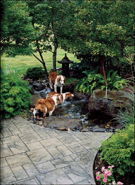 Shade For Dogs, Dog Yard Landscaping, Dog Proof Fence, Dog Pond, Dog Friendly Garden, Dog Friendly Backyard, Dog Backyard, Playground Landscaping, Dog Yard