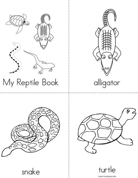 My Reptile Book - Twisty Noodle Nature, Reptiles Kindergarten, Reptiles Preschool, Reptiles Activities, Reptile Crafts, Twisty Noodle, Children Crafts, Kindergarten Prep, Transitional Kindergarten